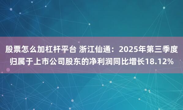 股票怎么加杠杆平台 浙江仙通：2025年第三季度归属于上市公司股东的净利润同比增长18.12%