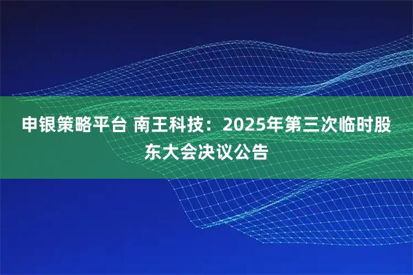 申银策略平台 南王科技：2025年第三次临时股东大会决议公告